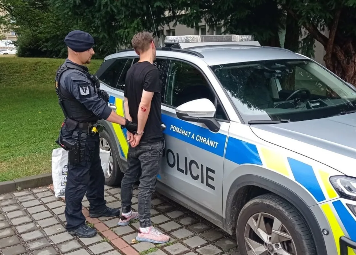 Recidivista se po propuštění z vězení vrátil ke krádežím, v Jihlavě vzal lego