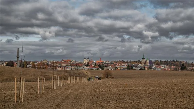 Alej svobody: Lidé v Jihlavě vysází 90 nových stromů. Připomenou Václava Havla