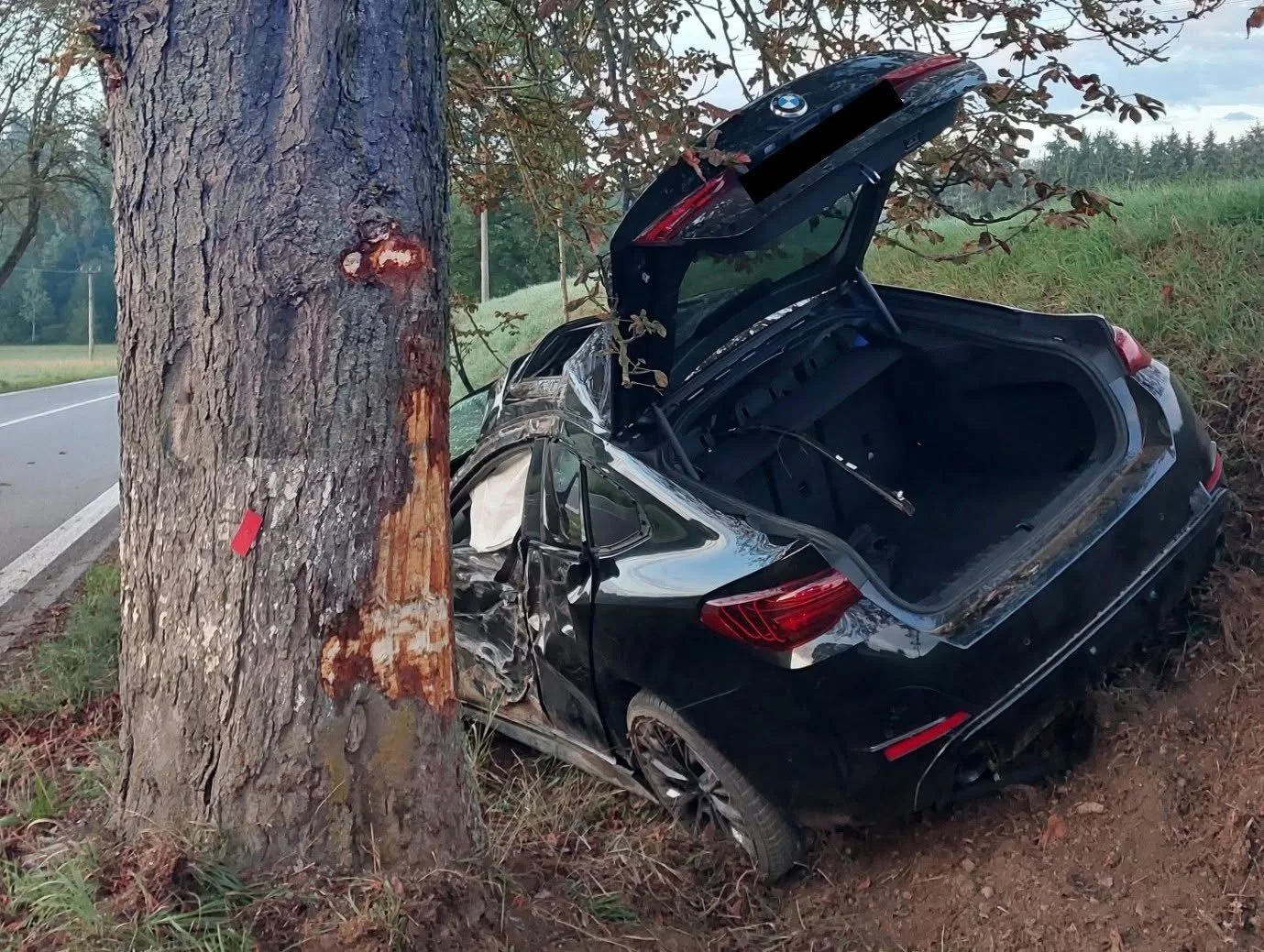 BMW po smyku narazilo do stromu. Škoda přesáhla milion korun