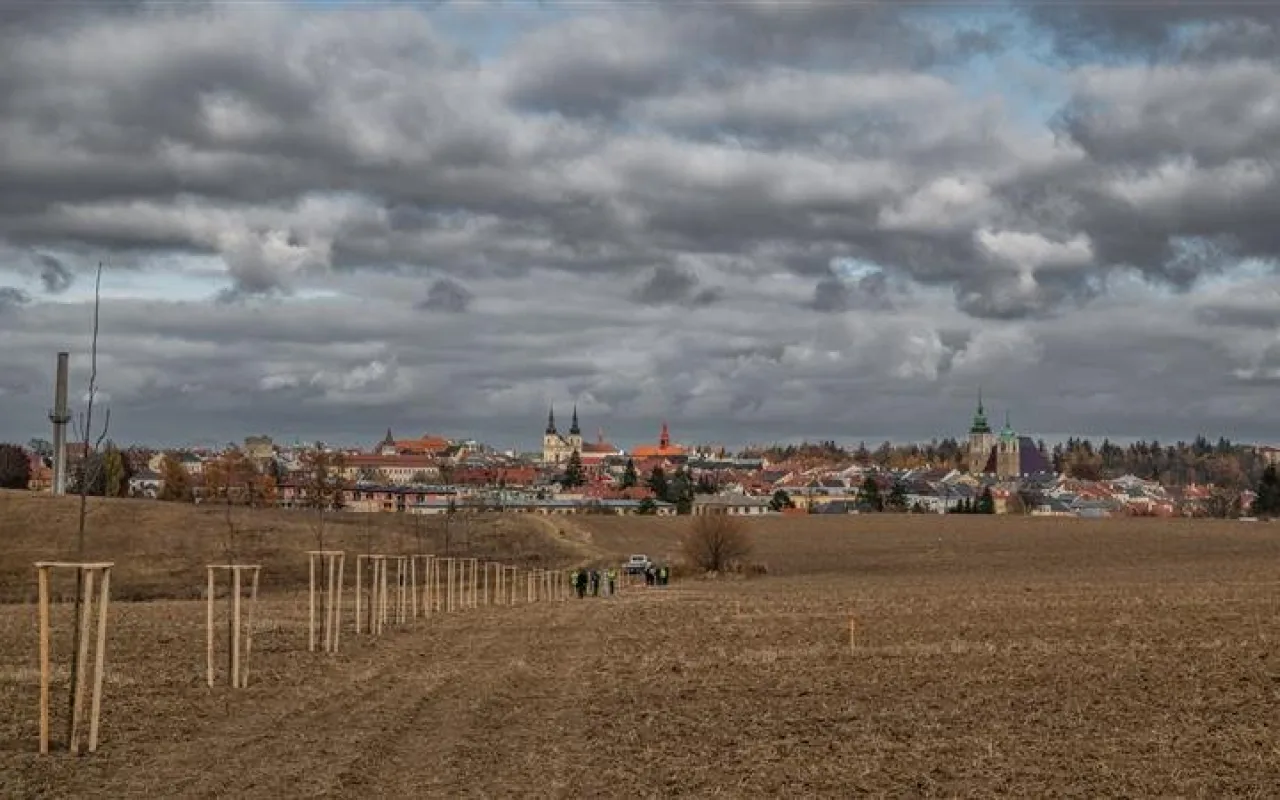 Alej svobody: Lidé v Jihlavě vysází 90 nových stromů. Připomenou Václava Havla