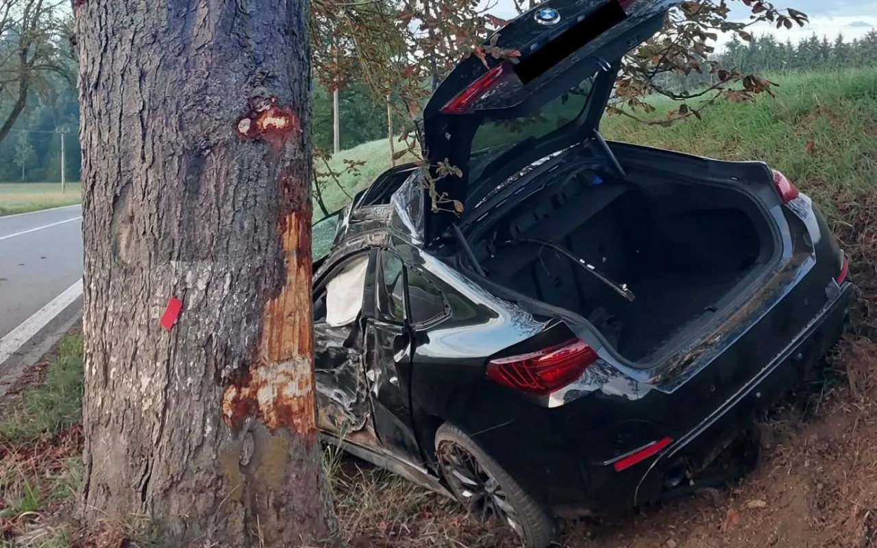 BMW po smyku narazilo do stromu. Škoda přesáhla milion korun