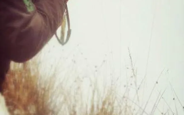 pok5