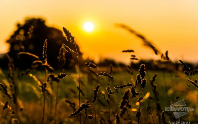 Západ slunce na podvečerní louce - Následuj svůj cíl, jdi za sluncem.