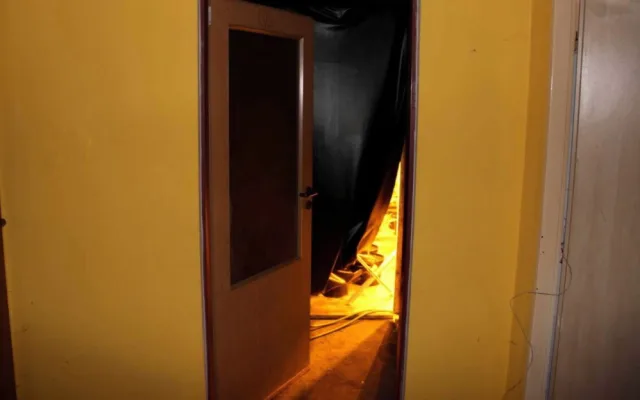 Kriminalisté dnes odhalili v Novém Městě na Moravě pěstírnu konopí
