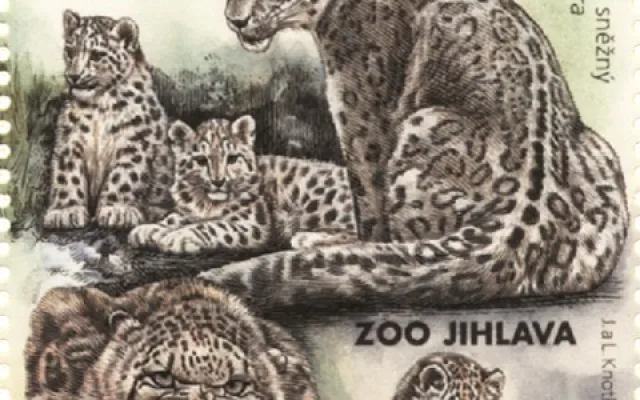 Česká pošta vydává edici známek s levharty sněžnými z jihlavské zoo