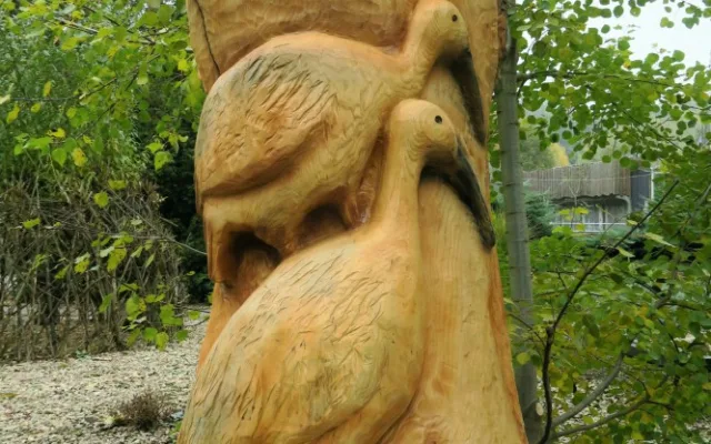 Ibisové