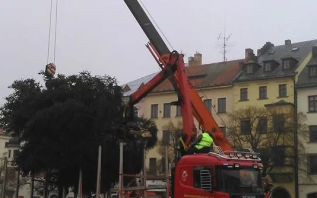 Na jihlavské náměstí dorazil vánoční strom. Vyrostl na největším sídlišti Březinky