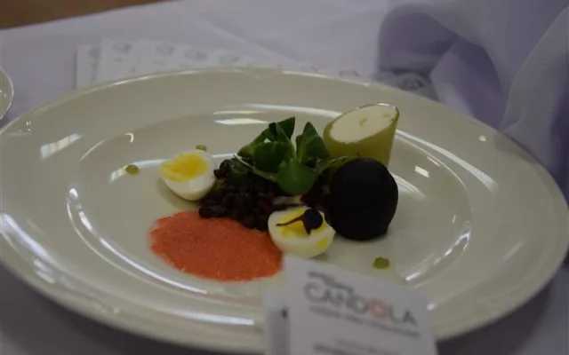 Třebíčští mladí kuchaři brali stříbro a bronz na mezinárodním Gastrofestivalu v Nitře