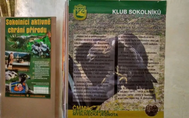 ihlavskou radnici zdobí téměř pět set trofejí zvěře. K vidění je obří kňour nebo kamzík