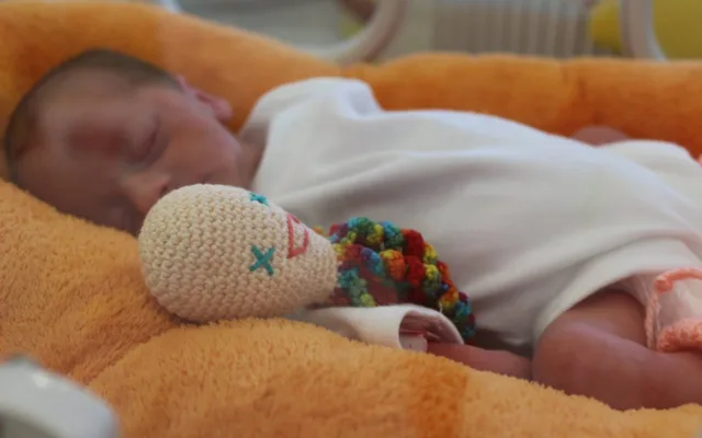 Jihlavská nemocnice se po pěti letech stará o trojčata. Holčičky se mají čile k světu