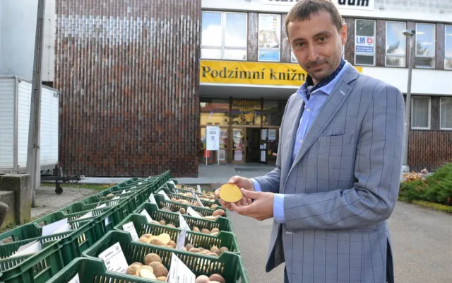 Krajský radní Martin Hyský při prohlídce jednotlivých odrůd brambor