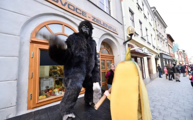 Klíče od města na odpoledne převzaly masky, Jihlavou prošel masopustní průvod