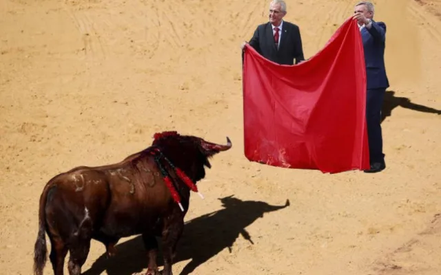 Zeman toreador nebo Zeman aktivista. Internet se baví vtipy o prezidentově pálení trenýrek