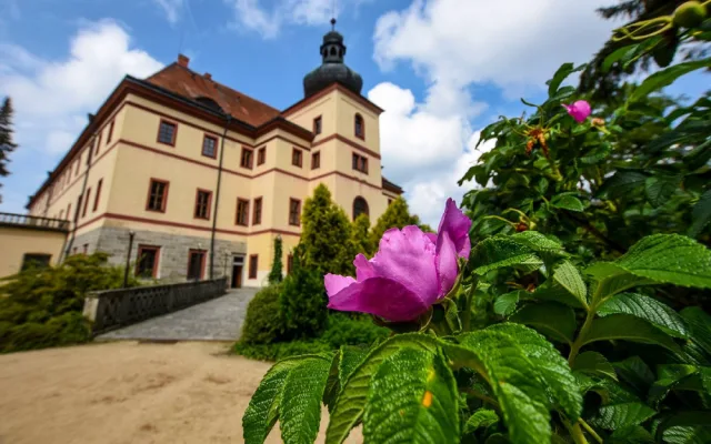 Síť elektrokol v jižních Čechách se rozrůstá