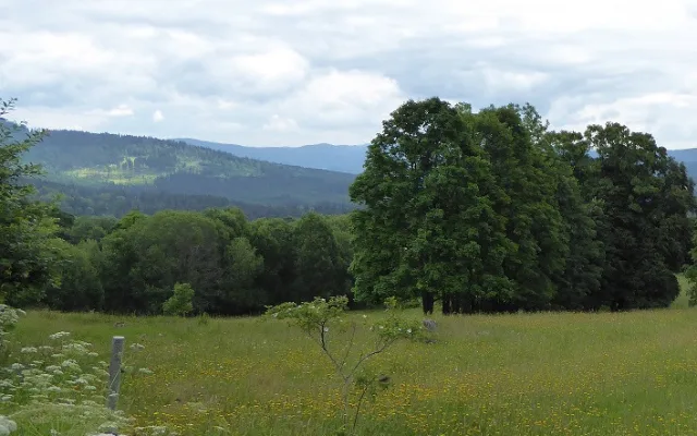 České Žleby