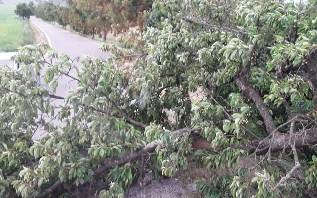 FOTO: Vysočinu zasáhla bouřka. Hasiči řešili povodeň a evakuaci 11 lidí