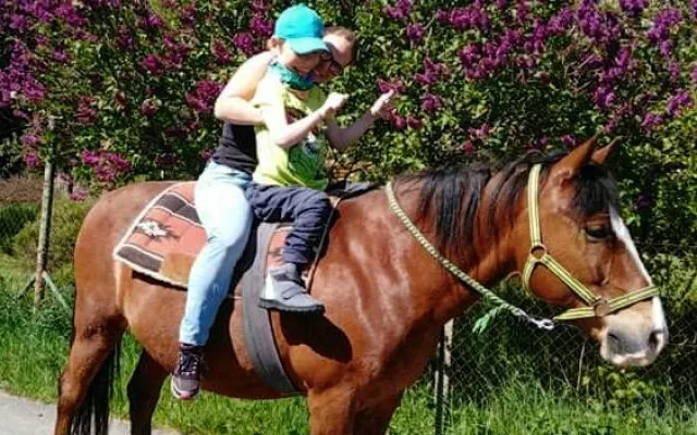 Lukáš z Jihlavy bojuje s mozkovou obrnou. On je má škola života, říká maminka Katka