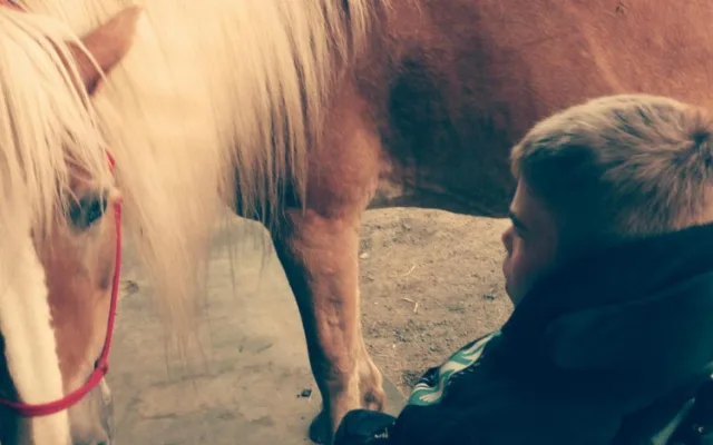 Lukáš z Jihlavy bojuje s mozkovou obrnou. On je má škola života, říká maminka Katka