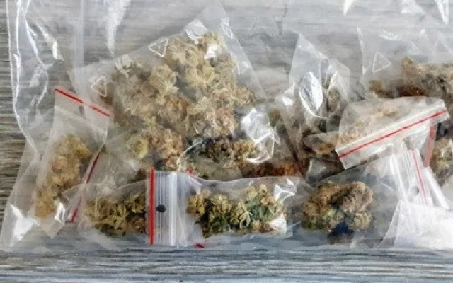 Kriminalisté zadrželi tři výrobce a dealery drog. Po Vysočině prodávali marihuanu a pervitin