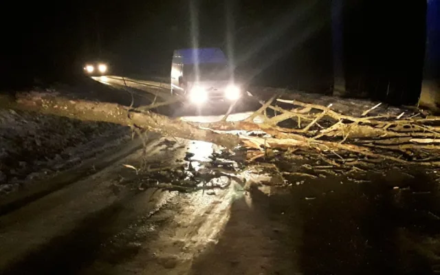 Skoro sto výjezdů kvůli počasí za 24 hodin. Řidič na Jihlavsku narazil do spadlého stromu