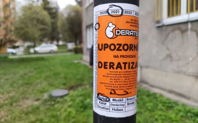 Od tohoto týdne probíhá v Jihlavě deratizace. Potkanů je nejvíce na Březinkách, Dolině nebo v Kollárově ulici
