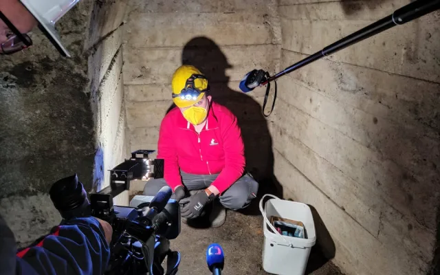 Od tohoto týdne probíhá v Jihlavě deratizace. Potkanů je nejvíce na Březinkách, Dolině nebo v Kollárově ulici