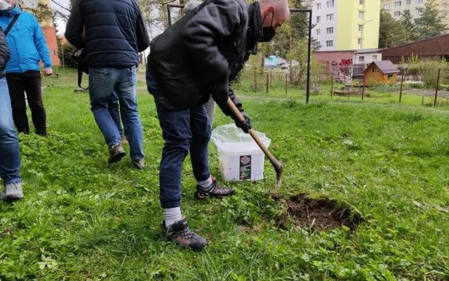 Od tohoto týdne probíhá v Jihlavě deratizace. Potkanů je nejvíce na Březinkách, Dolině nebo v Kollárově ulici
