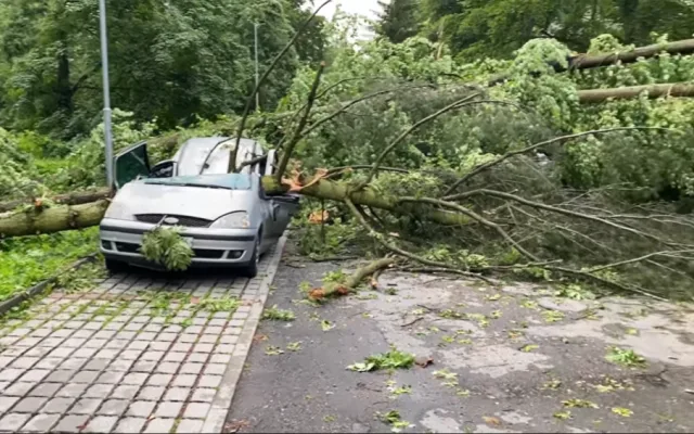 Na Vysočině v bouřkách padaly stromy, hasiči měli přes 200 výjezdů