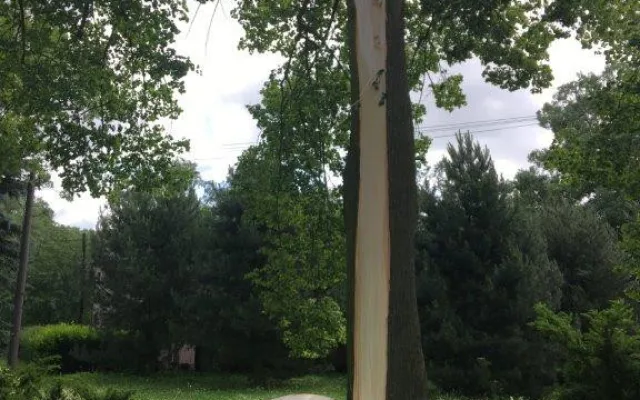 Úterní bouřka si v Jihlavě vyžádá mimořádné náklady na úklid a opravy. Radní Beke doporučuje připojistit levnější auta
