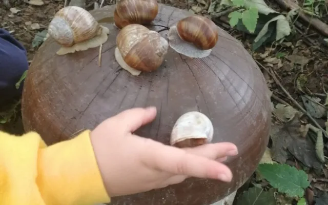 Tip na výlet. Malé i velké houby v obci Kněževes, děti potěší hřiště i stezka s úkoly, Zdroj: https://www.malivyletnici.cz
