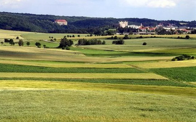 Pohled z rozhledny směr Náměšť nad Oslavou