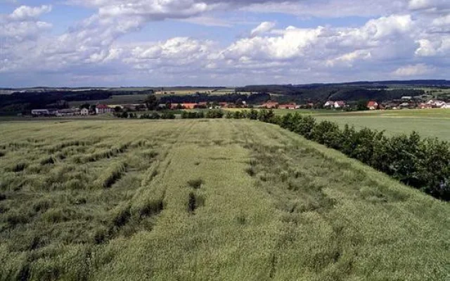 Pohled z rozhledny směr Ocmanice