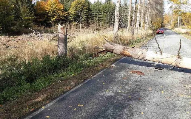 Vítr trápí Vysočinu i nadále. Domácnosti jsou bez proudu, problémy jsou i na železnici
