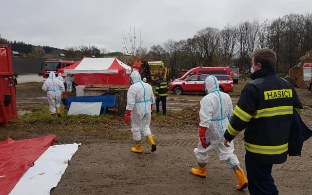 Vybíjení 5 tisíc ptáků v Rohozné začalo. Lidé nám vyjadřují podporu, říká majitel husí farmy