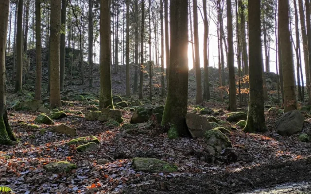 Tip na výlet: Čtrnáct zastavení, odpočinek u Formanské studánky. Projděte si Naučnou stezku Čeřínek