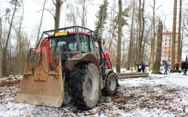 Heulosem se rozléhá zvuk motorových pil. Stromy s tečkou musí jit co nejdříve k zemi