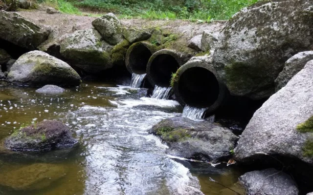 Tip na výlet: Balinské údolí pěšky i na kole. Po cestě potkáte třeba vydru nebo ledňáčka