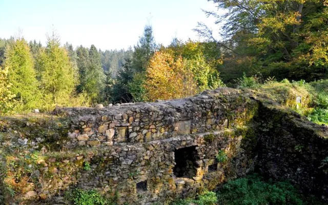 Tip na výlet: Tajemný hrad Ronovec s řadou pověstí. Třeba o generálovi ve zdobené rakvi s pokladem