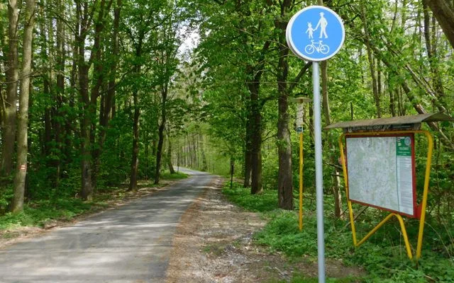 Tip na výlet: Lipová alej s dlouhou historií, která nabídne deset zastavení