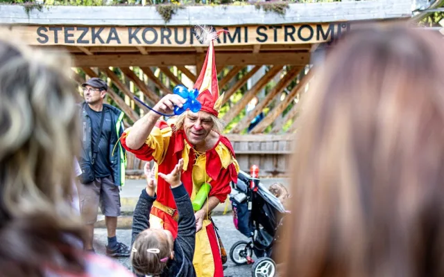 Stezka korunami stromů Lipno slaví první kulatiny. Oslavte je společně s ní i Monikou Absolonovou!