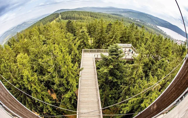 Stezka korunami stromů Lipno slaví první kulatiny. Oslavte je společně s ní i Monikou Absolonovou!