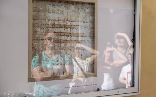 Včely jako umělkyně. V Malé Lazebnické ulici je k vidění výstava Úl v Ji-hlavě, nechybí ani včelí jukebox