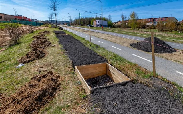 Stromy v Jihlavě se dostaly do finále soutěže. Stejnou metodou se zasadí i u nových bytových domů