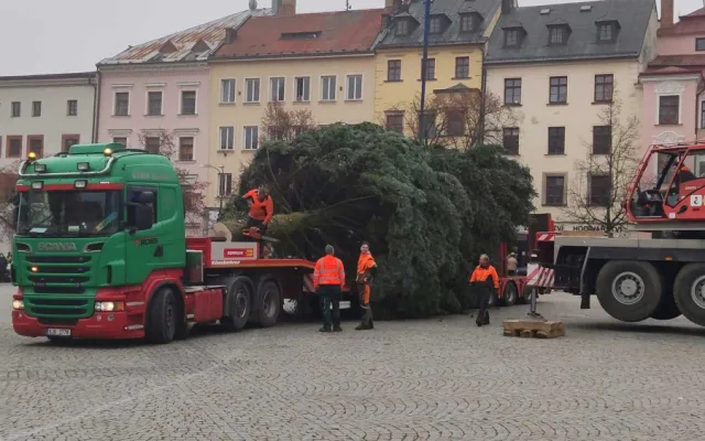 VIDEO: Jihlavský vánoční strom je už na svém místě. Ve středu začne zdobení, rozsvítí se 27. listopadu