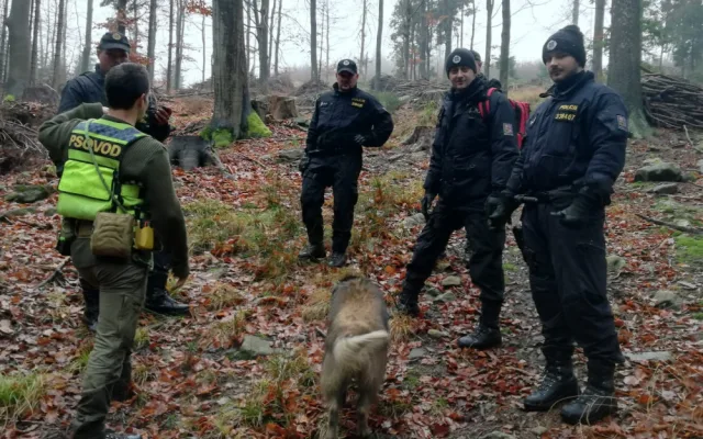 Stovka lidí hledala seniora na Žďársku. Děkuji všem, kteří pomohli najít mého dědu, říká vnučka Lenka
