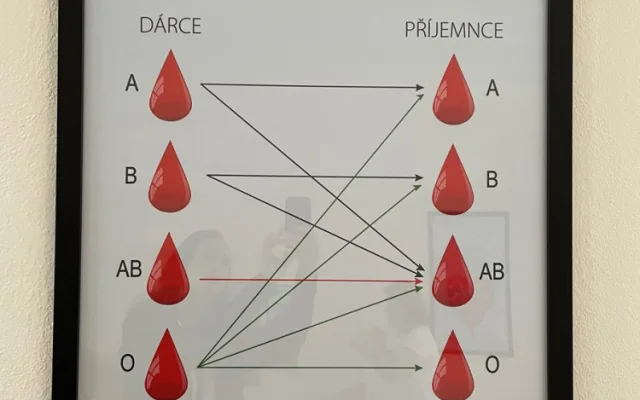 Dárci krve dostali opožděného Ježíška, je zde nový nábytek i dekorace. Podívejte se