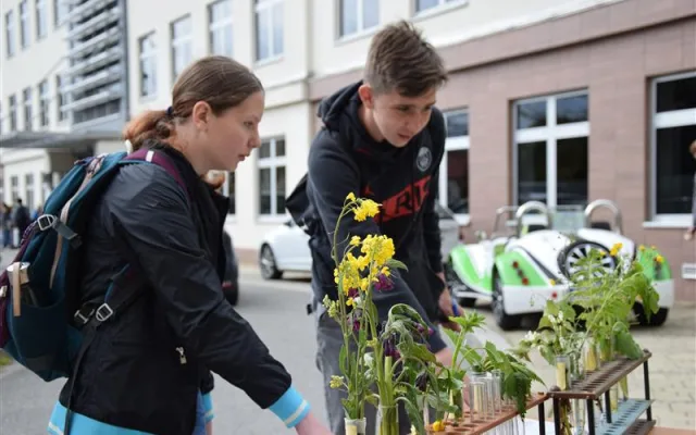 Bára z Jihlavy, Tomáš z Habrů a Matěj z Polné předvedli, že jsou největšími experty na zemědělství a lesnictví