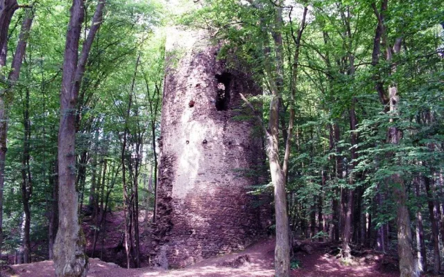 Tip na výlet: Zřícenina hradu Chřenovice u řeky Sázavy. Původně ho obývali rytíři, už v 16. století byl pustý