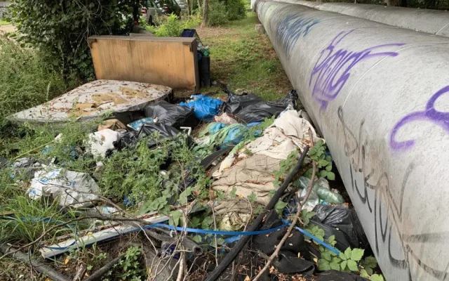 Podívejte se, jaké materiály převládaly na zlikvidované černé skládce