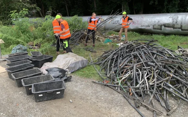 Podívejte se, jaké materiály převládaly na zlikvidované černé skládce